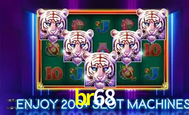 Flash Promotion br68